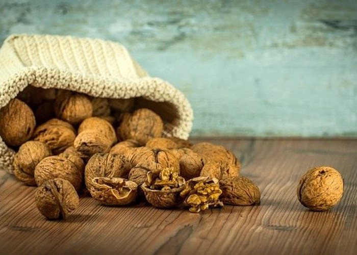 Inilah 5 Manfaat yang Dimiliki Kacang Kenari Bagus untuk Kesehatan Tubuh 
