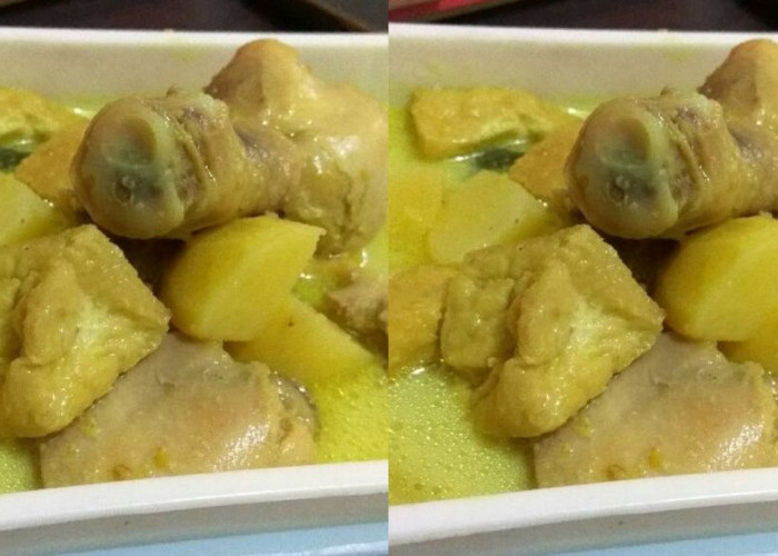 Begini Cara Membuat Opor Ayam Kentang Tanpa Santan, Dengan  Rasa Yang Bikin Nagih!