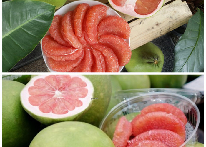 Khasiat Luar Biasa Buah Jeruk Bali untuk Menjaga Kesehatan Tubuh Secara Alami!