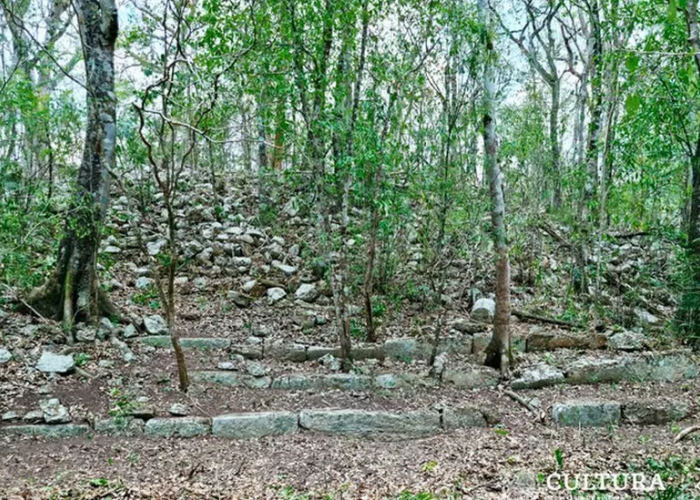 Kota Kuno Suku Maya Ditemukan di Hutan Meksiko, Begini Analisa Arkeolog
