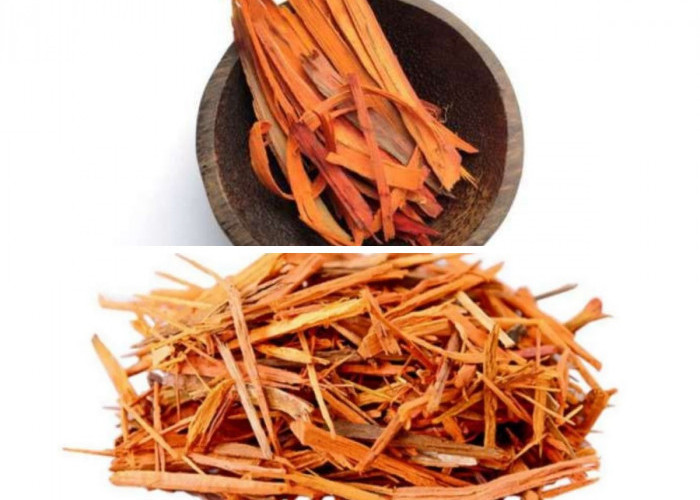 Kayu Secang dan Manfaatnya: 8 Khasiat Herbal Tradisional yang Perlu Diketahui