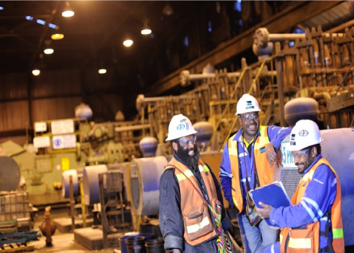 7 Smelter Selesai, Menteri ESDM Targetkan 17 Smelter lagi Selesai Tahun 2023