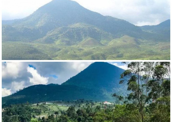 Rahasia Gunung Bukit Tunggul: Dari Sisa Letusan Gunung Sunda Hingga Cerita Gaib di Baliknya