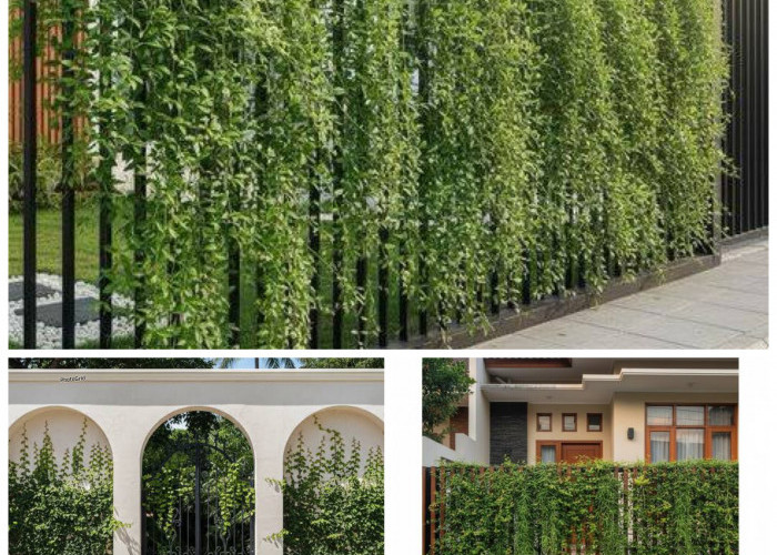 Pagar Besi 2026 Makin Stylish! Kuat, Modern, dan Dipenuhi Sentuhan Hijau!