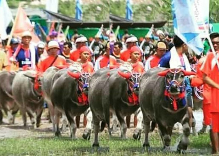 Pernah Dengar Tentang Upacara Sebo di Suku Sumbawa? Ini Fakta Mengejutkannya!