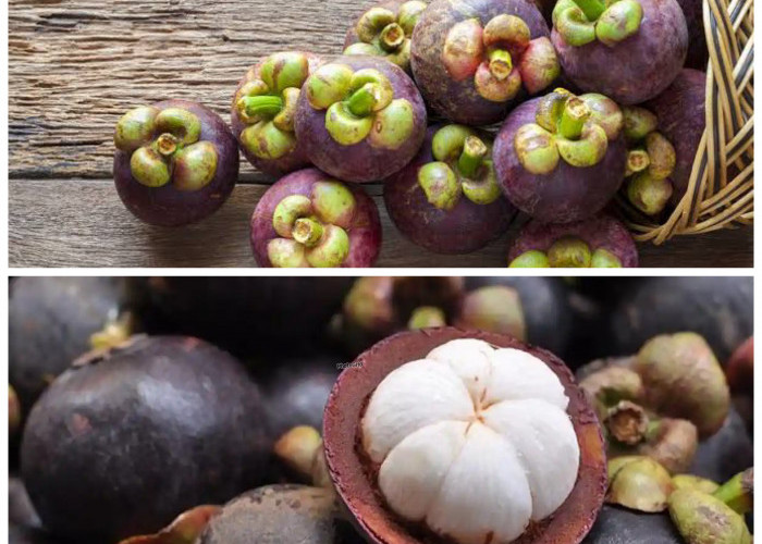 5 Khasiat Buah Manggis untuk Kesehatan, Kaya Antioksidan dan Baik Dikonsumsi Setiap Hari