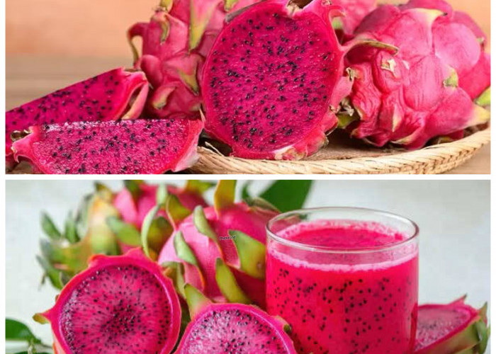  5 Alasan Penting Sarapan Buah Naga untuk Energi dan Kesehatan Harian!