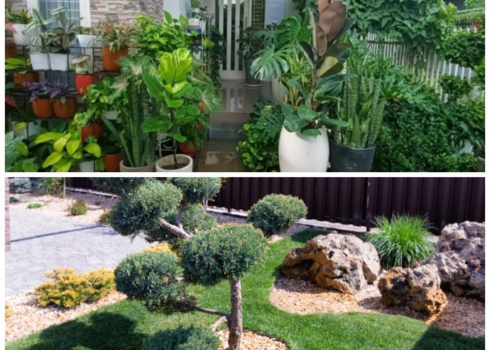 5 Tanaman Hias Outdoor Paling Mudah Dirawat untuk Mempercantik Halaman Rumah