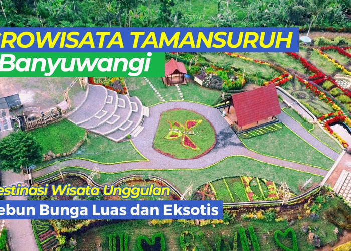 Wajah Baru Agrowisata Taman Suruh, Magnet Baru Tempat Belajar dan Liburan di Banyuwangi
