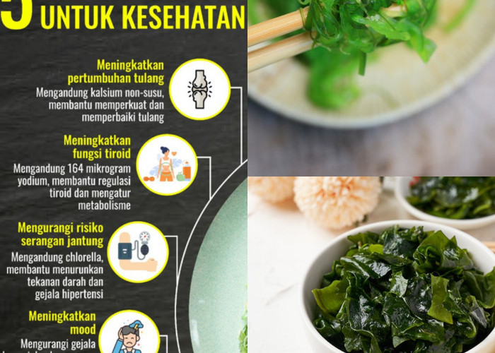 Sudah Makan Rumput Laut? Yuk, Lihat Kenapa Kamu Harus Mulai Sekarang!