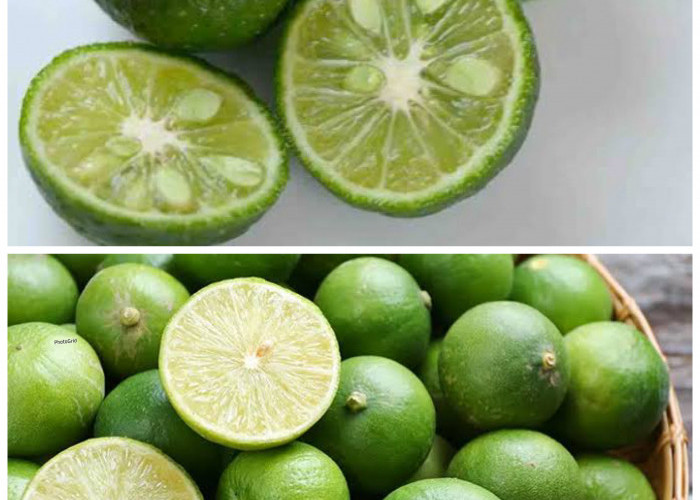 Manfaat Jeruk Limau bagi Kesehatan Tubuh: Rahasia Segar untuk Daya Tahan, Kulit, dan Pencernaan!