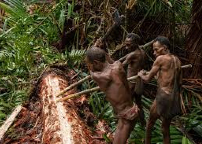 Lestarikan Budaya Lokal, Ini Suku Asli Papua yang Terkenal