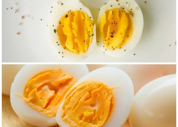 Telur Rebus dan Khasiatnya: 7 Alasan Mengapa Harus Jadi Menu Harianmu!