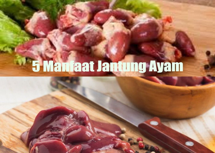 Tahukah Kamu? Inilah 5 Manfaat Luar Biasa Jantung Ayam untuk Kesehatan Tubuh!