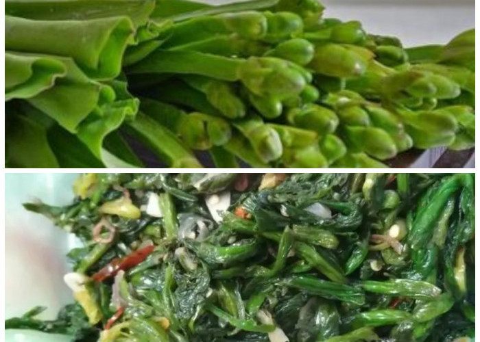 Rahasia Khasiat Genjer untuk Tubuh Sehat: 8 Manfaat yang Wajib Kamu Tahu!