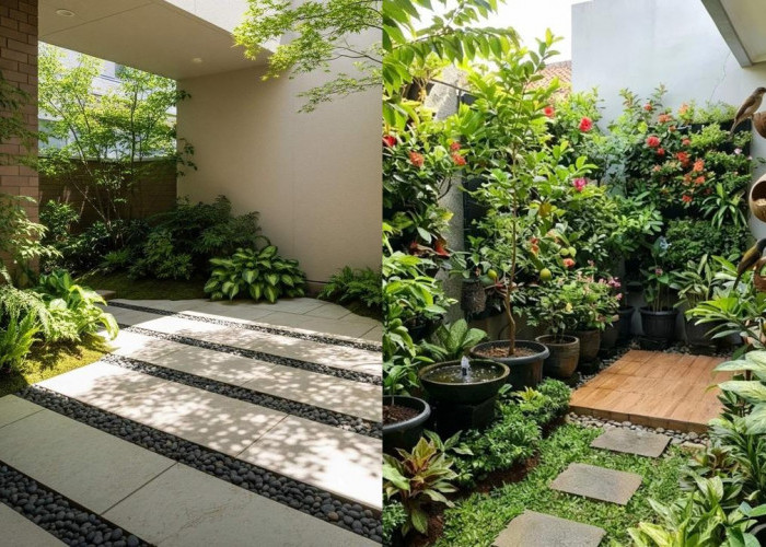 Desain Kebun Mini Sederhana di Sela Tembok, Bikin Rumah Makin Adem!