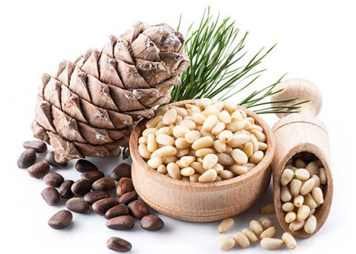 Mampu Meningkatkan Kesehatan! Inilah Manfaat Kacang Pinus yang Kaya Akan Nutrisi 