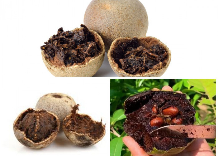 Inilah 6 Manfaat Buah Kawista untuk Kesehatan: Dari Jantung hingga Pencernaan!