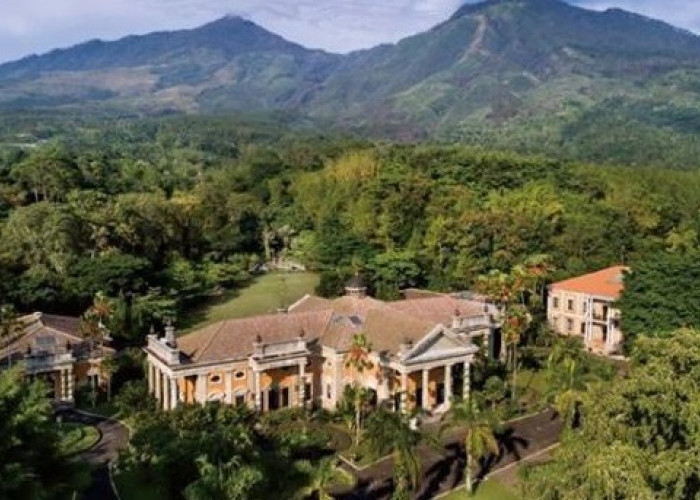 Menggemparkan! Didalam Hutan Indonesia Miliki Istana yang Megah, Ternyata Berada di Bagian Pulau Ini! 