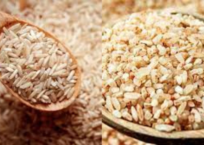 Ragam Manfaat Beras Cokelat untuk Kesehatan Yang Jarang Diketahui!