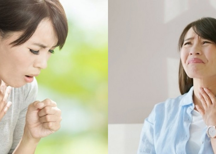 Yuk simak! Cara Mengusir Dahak Ditenggorokan Efektif