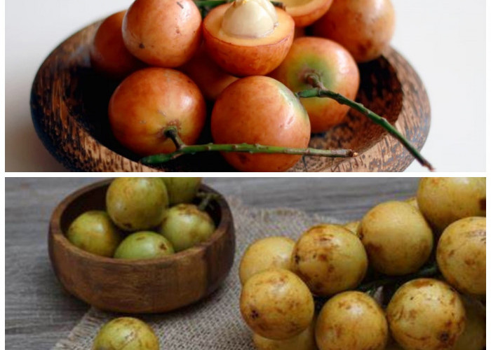 Manfaat Luar Biasa Buah Menteng: Kecil tapi Penuh Khasiat untuk Tubuh!