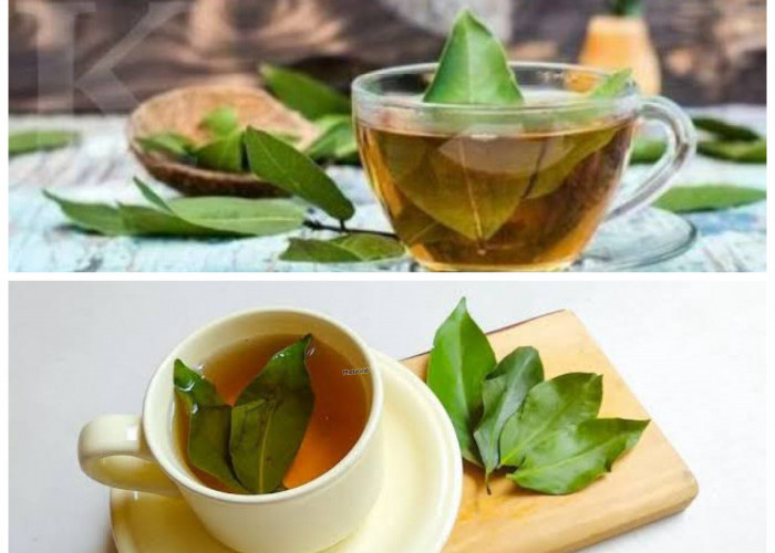 Rahasia Daun Salam: Manfaat Luar Biasa untuk Kesehatan Tubuh yang Jarang Diketahui!