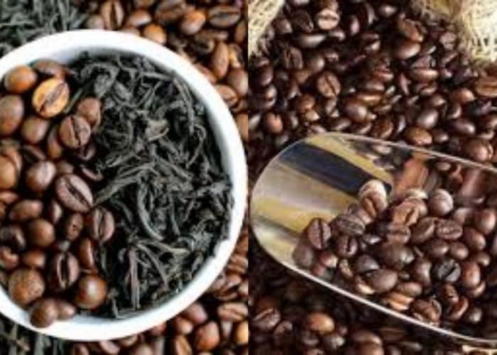 Jarang Diketahui Ini Manfaat Dari Kafein Untuk Kesehatan Tubuh Yang Luar Biasa!