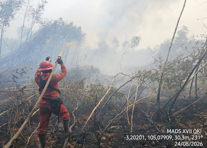 Kabut Asap Karhutla Mulai Ganggu Udara, Disdik Sumsel Siapkan Opsi Pengurangan Jam Belajar
