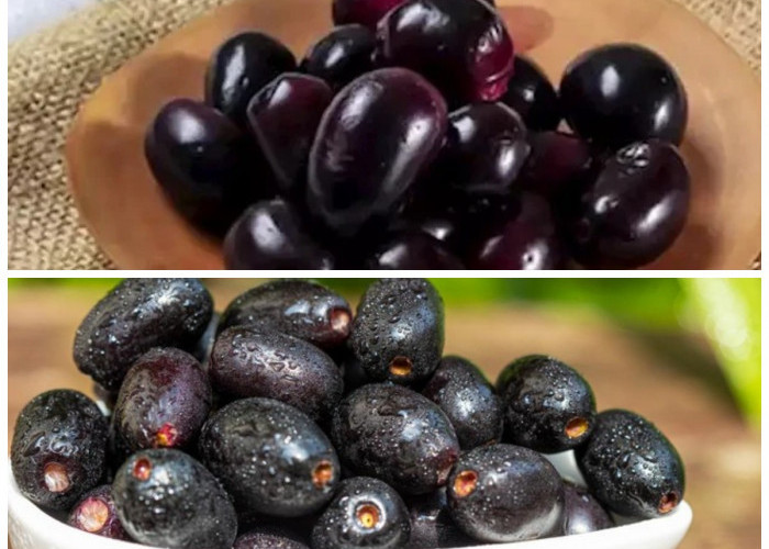 Keajaiban Buah Jamblang: 7 Manfaat Kesehatan yang Wajib Dicoba