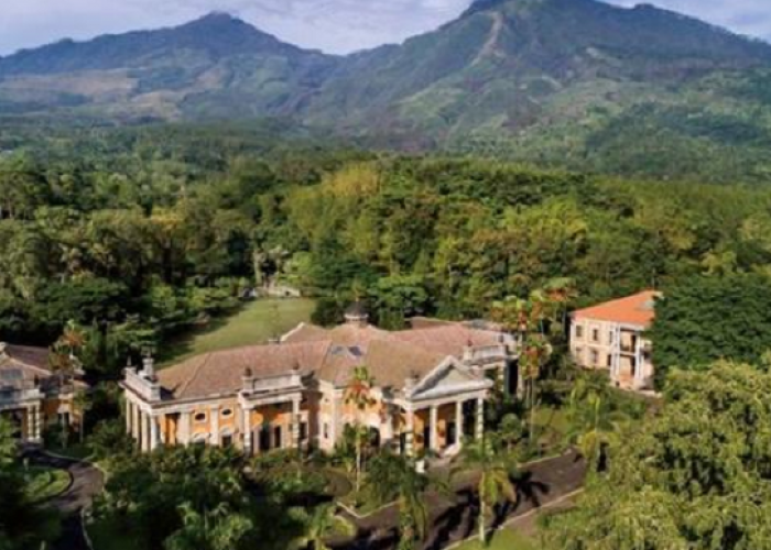 Arsitektur Kerajaan di Lamongan Terkuak! Penemuan Heboh Istana di Tengah Hutan Jawa Timur