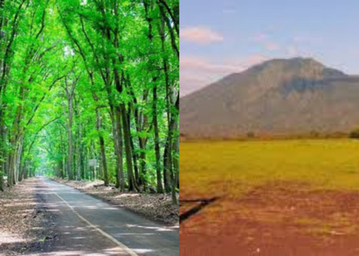  Inilah Tempat Wisata di Jawa Timur yang Terkenal dengan Keindahan Alamnya, Wajib Kalian Kunjungi!
