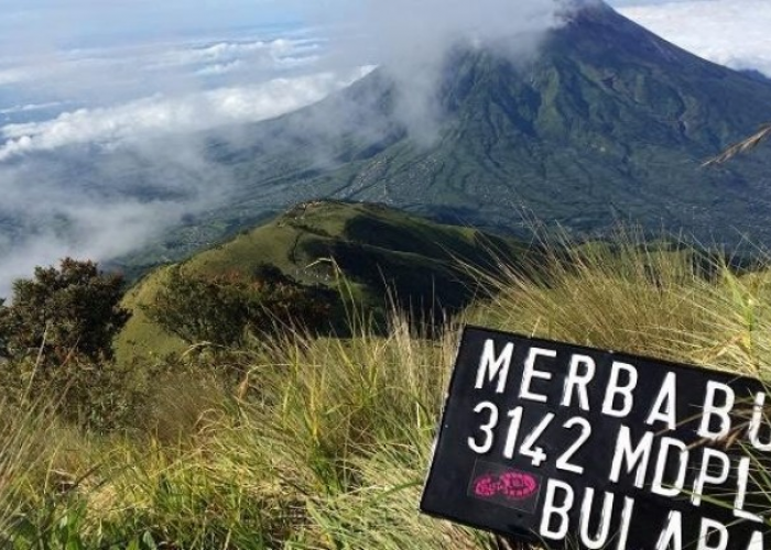 Rugi Banget Kalau Kamu Nggak Ke Gunung Merbabu, Kenapa? Cek Yuk!