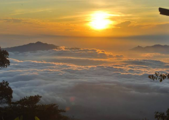 Menguak Misteri dan Mitos Keindahan Gunung Pesagi di Lampung Barat, Ada Apa Yah?