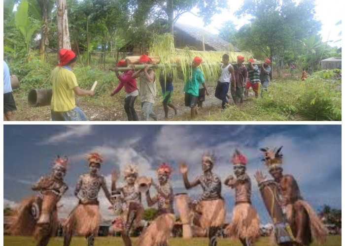 Mengenal Suku Wayoli: Identitas Budaya Tersembunyi di Pedalaman Maluku Tengah