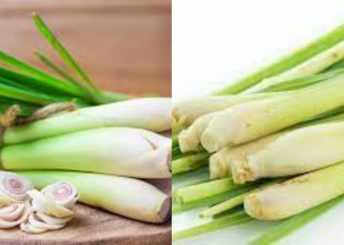 8 Manfaat Serai untuk Kesehatan dan Efek Sampingnya Bagi Tubuh