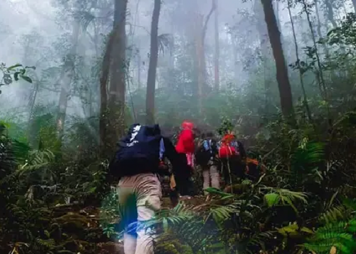 Dari Legenda ke Kenyataan: Sejarah Gunung Tanggamus, Lampung