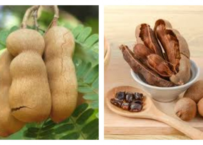 4 Manfaat Asam Jawa yang Tak Seasam Rasanya