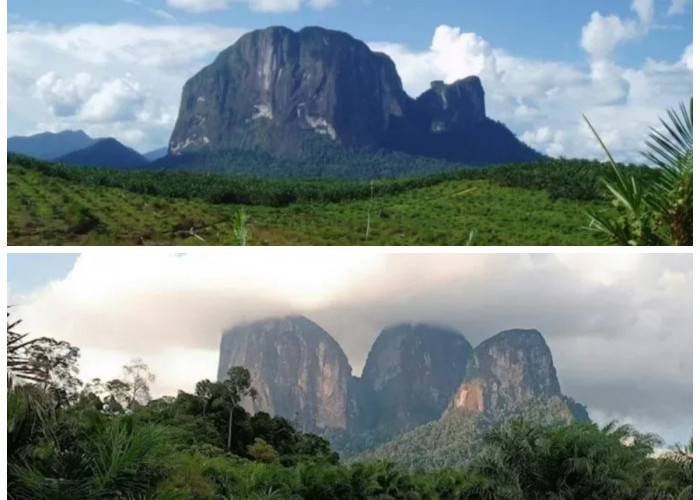 Menaklukkan Keindahan Gunung Batu Jamak: Petualangan dan Tantangan Pendakian di Kalimantan