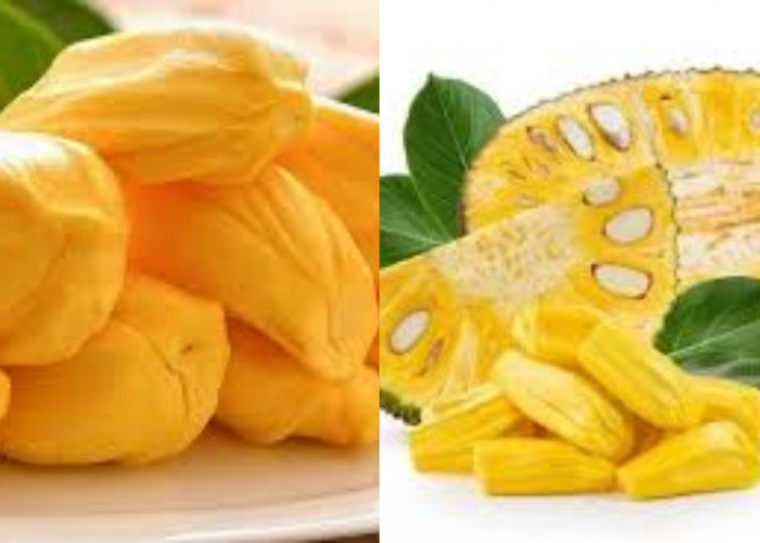  Inilah 10 Manfaat Buah Nangka Untuk Kesehatan Yang Perlu Diketahui!