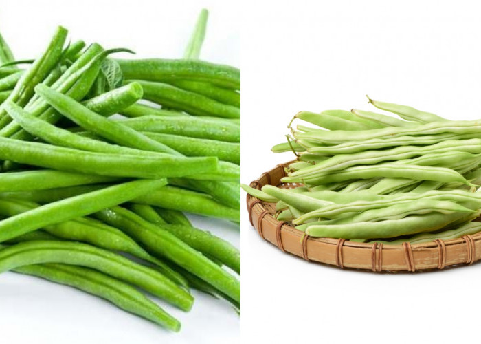 Wajib Tahu Inilah 8 Manfaat Buncis Untuk Kesehatan Tubuh Yang Jarang Diketahui! 