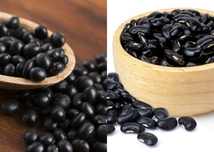 Inilah Segudang Manfaat Kedelai Hitam Untuk Kesehatan Yang Jarang Diketahui! 
