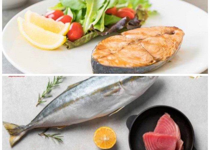 Ikan Tenggiri, Lezat dan Bergizi: 7 Manfaatnya yang Sayang untuk Dilewatkan!