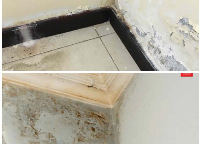 Dinding Rembes Tak Perlu Dibongkar! Ini 5 Cara Mudah Mengatasinya dengan Hasil Maksimal