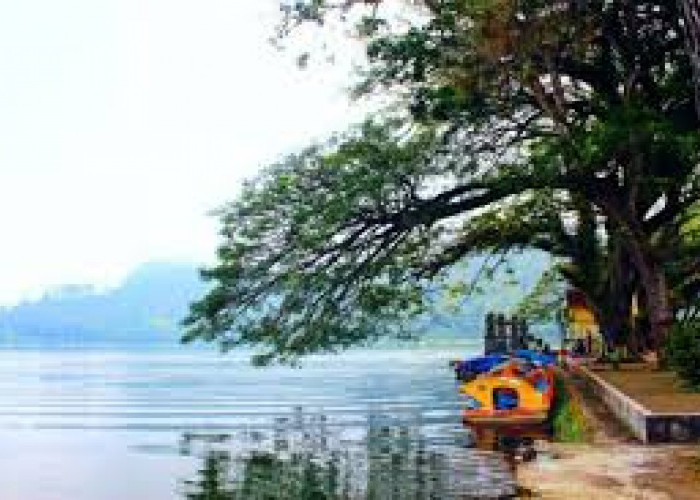 Menelisik Pesona Wisata Ponorogo, 4 Destinasi Tak Terlupakan di Jawa Timur! Ada Apa?