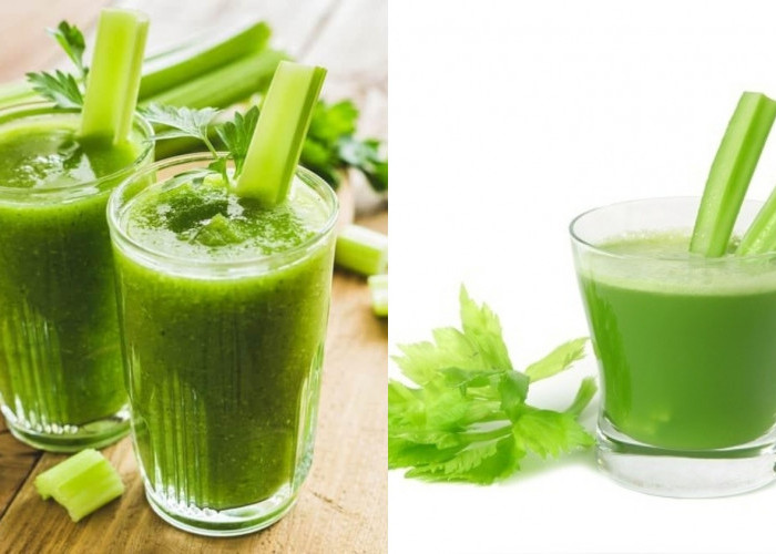 Gula Darah Kalian Rendah? Ini Solusinya Manfaat Jus Seledri Untuk Kesehatan Kamu Harus Tahu