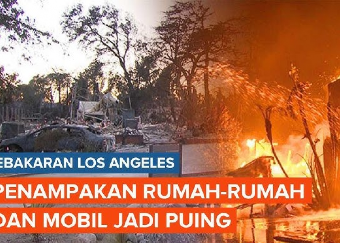 Mengapa Kebakaran Los Angeles Terus Meningkat?! Ini Penyebabnya!