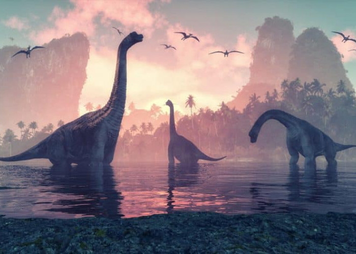 Penemuan Fosil Dinosaurus Baru Berusia 145 Juta Tahun, Ini Yang Didapatkan Para Peneliti!