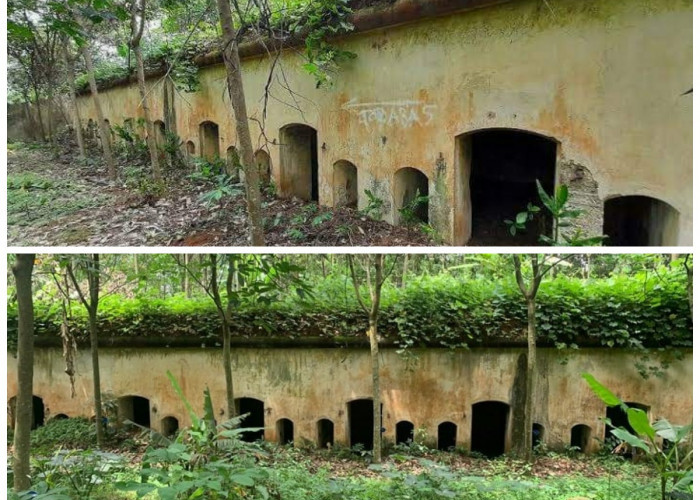 Menelusuri Sejarah Benteng Belanda Tangkil: Jejak Kolonial di Tanah Lampung!