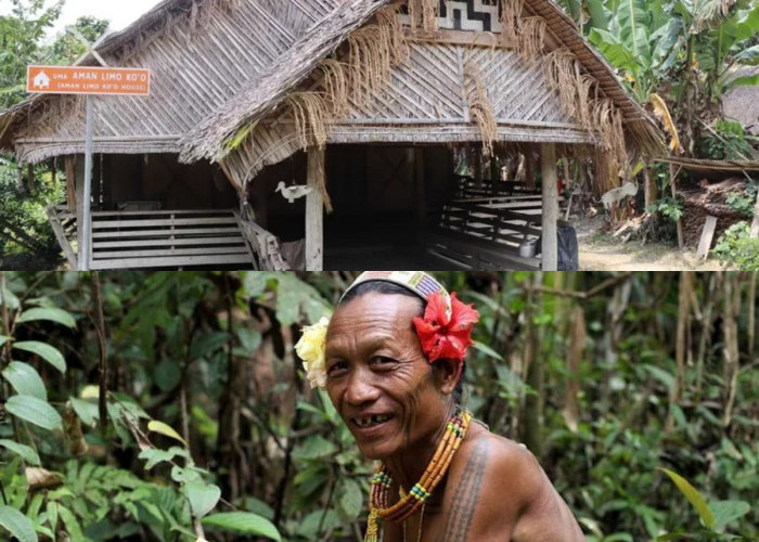 Mengapa Suku Mentawai Membangun Rumah Tanpa Paku? Begini Alasannya!